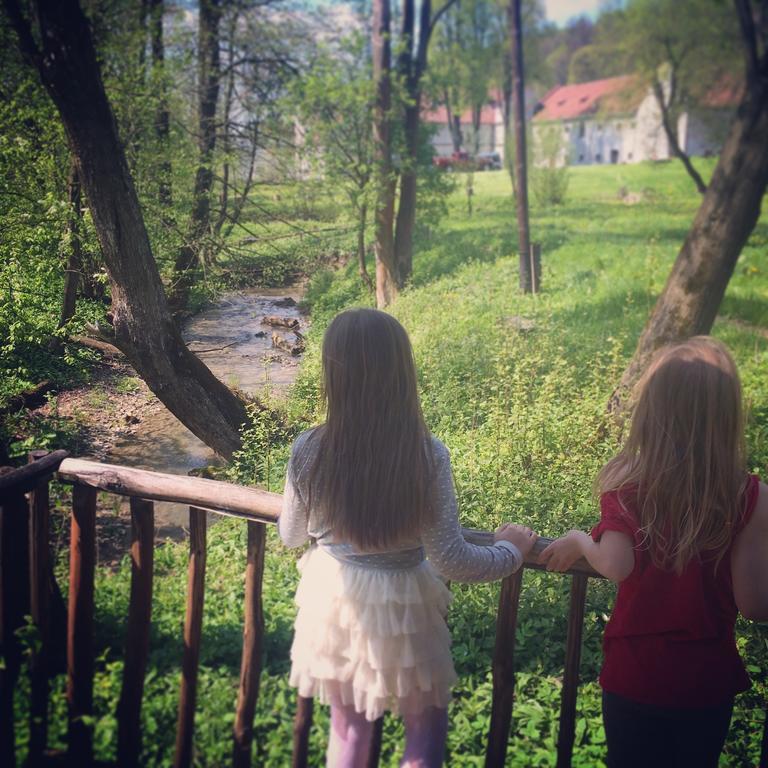 Zamek W Dziegielowie Buitenkant foto